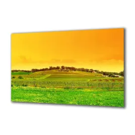 obraz-na-szkle-natura-3530138-140x70
