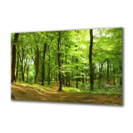 obraz-na-szkle-natura-35316050-140x70