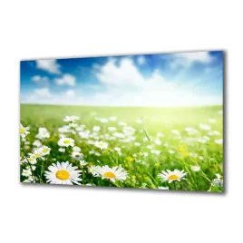 obraz-na-szkle-natura-40565280-140x70