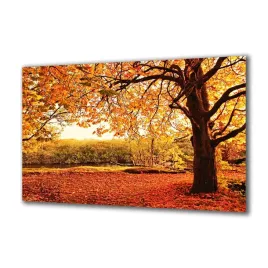 obraz-na-szkle-natura-45108959-140x70