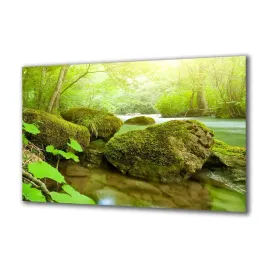 obraz-na-szkle-natura-50530261-140x70