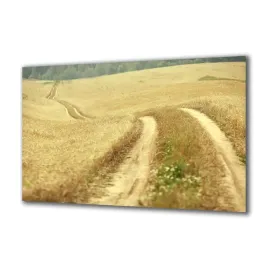 obraz-na-szkle-natura-59633862-140x70