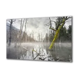 obraz-na-szkle-natura-60272334-140x70