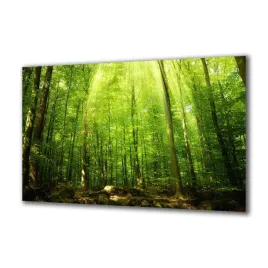 obraz-na-szkle-natura-63191638-140x70