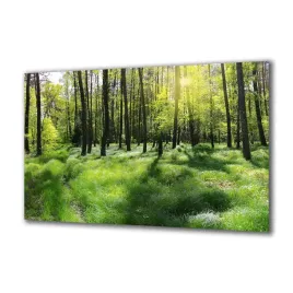 obraz-na-szkle-natura-64946778-140x70