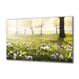 obraz-na-szkle-natura-78313786-140x70