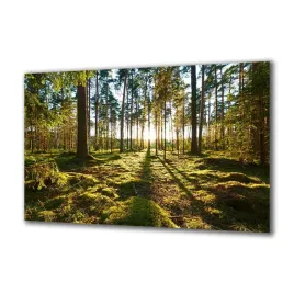 obraz-na-szkle-natura-92027264-140x70