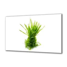 obraz-na-szkle-przyprawy-i-ziola-80984065-140x70