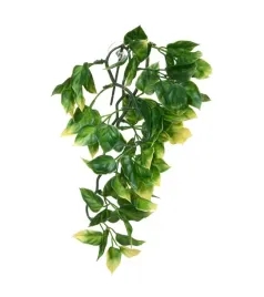 roslina-amapallo-s-32-cm-exo-terra