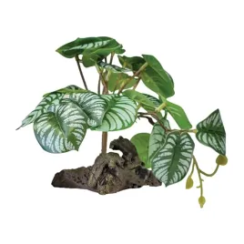 roslina-sztuczna-begonia-repto