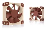 wentylator-noctua-nf-a8-pwm-kod-producenta-nf-a8