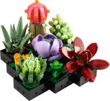lego-botanicals-10309-sukulenty-plec-chlopcy