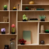 lego-botanicals-10309-sukulenty-certyfikaty-opinie-atesty-ce