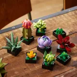 lego-botanicals-10309-sukulenty-numer-produktu-10309