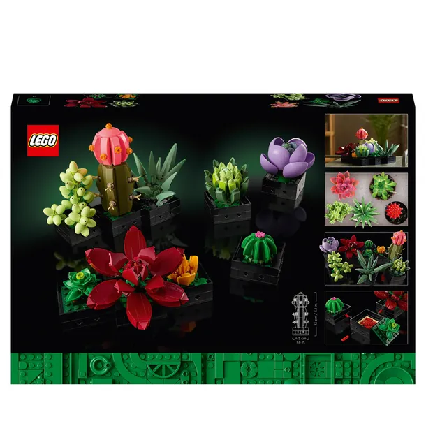 lego-botanicals-10309-sukulenty-nazwa-zestawu-sukulenty