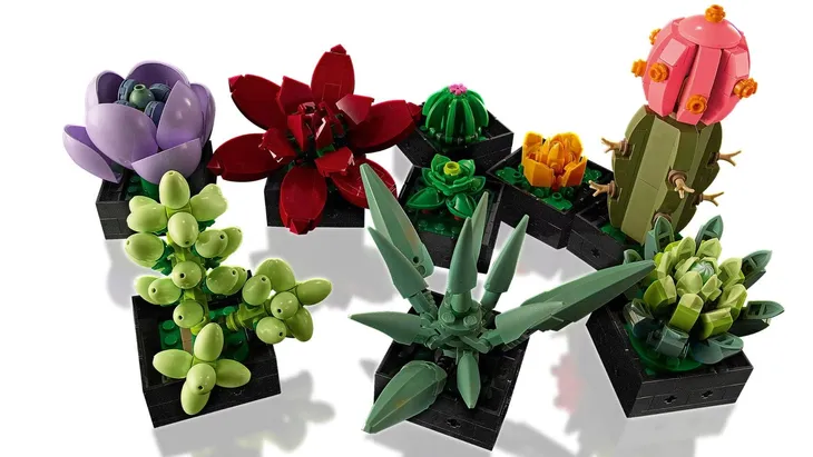 lego-botanicals-10309-sukulenty-plec-chlopcy-certyfikaty-opinie-atesty-ce
