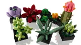 lego-botanicals-10309-sukulenty-plec-chlopcy-certyfikaty-opinie-atesty-ce
