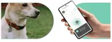 lokalizator-notione-go-plus-ksztalt-prostokatny