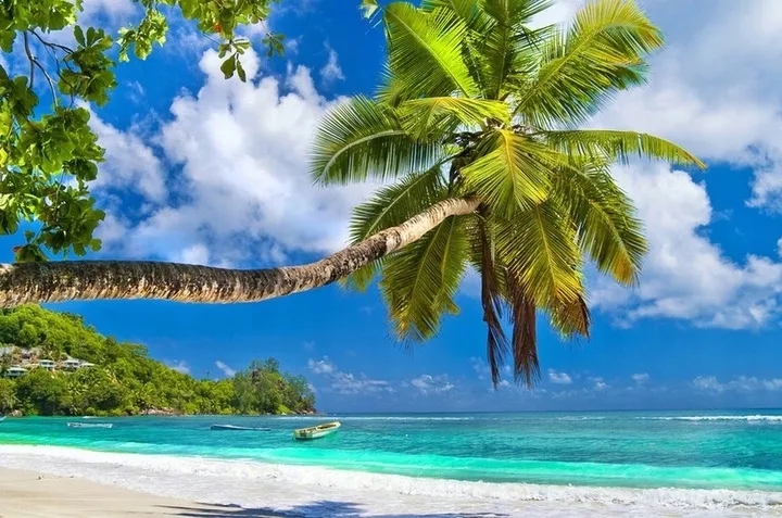 calvin-klein-ck-be-200-ml-edt-marka-calvin-klein-waga-z-opakowaniem-0-4-kg