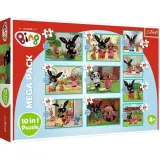 puzzle-10w1-co-robi-bing