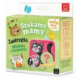 maly-mis-szukamy-mamy
