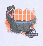2-x-pizama-jurassic-world-stan-nowy-kolor-szary
