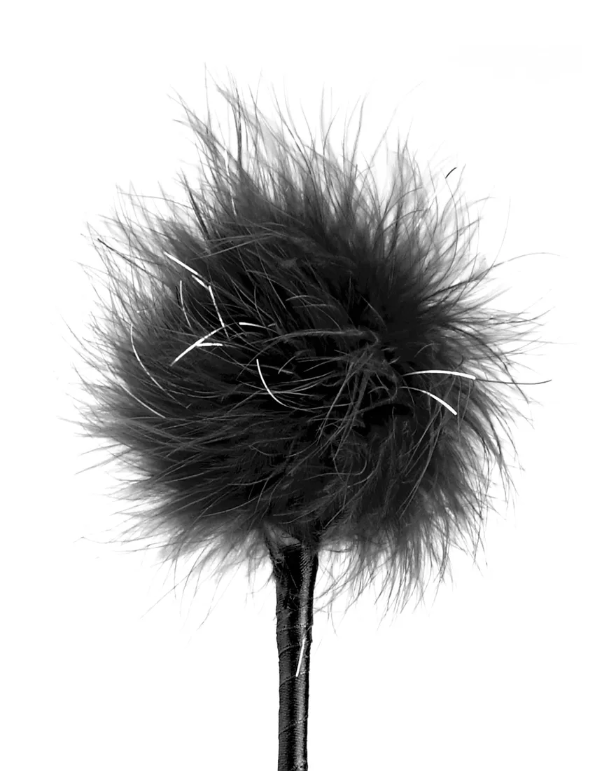 feather-crop-packa-dominy-bdsm-z-piorkiem