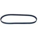 contitech-pasek-wielorowkowy-5pk1592-typ-samochodu-niezdefiniowany