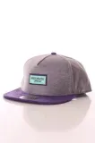 official-absofuckinglutely-snapback