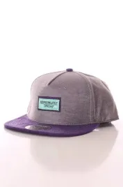 official-absofuckinglutely-snapback