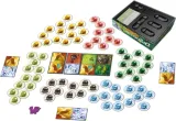 foxgames-dragomino-stan-nowy