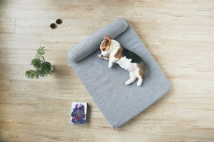 petkit-deep-sleep-bed-l-grey-stan-nowy-waga-z-opakowaniem-0-3-kg