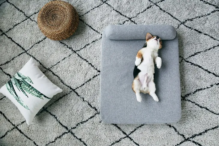 petkit-deep-sleep-bed-l-grey-stan-nowy
