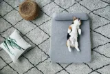 petkit-deep-sleep-bed-l-grey-stan-nowy
