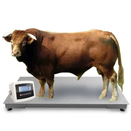 waga-inwentarzowa-do-zywca-bydla-krowy-byka-swin-100x220cm-5t-5000kg