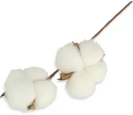 galazka-ozdobna-bawelna-kwiaty-bawelny-stroik-cotton-spray