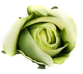 roza-w-paku-glowka-green