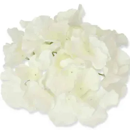 hortensja-glowka-satyna-cream
