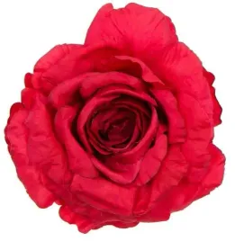 roza-satynowa-duza-piekna-glowka-dk-red