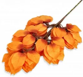 roza-lisc-rozy-aksamitne-liscie-orange