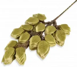 roza-lisc-rozy-aksamitne-liscie-olive