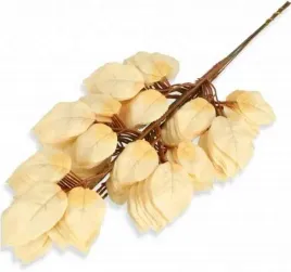 roza-lisc-rozy-aksamitne-liscie-cream-beige