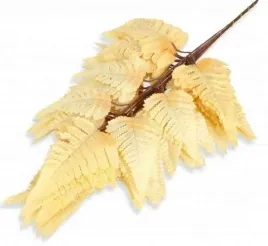 paproc-lisc-paproci-liscie-paprotka-cream-beige