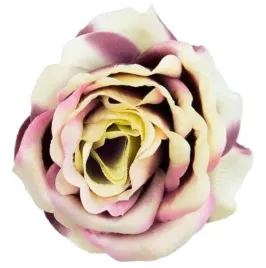 roza-glowka-wyrobowa-kwiat-cream-dk-plum