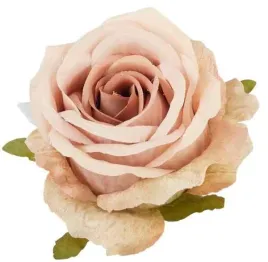 roza-satynowa-sliczna-glowka-lekko-rozwijajacej-sie-rozy-beige