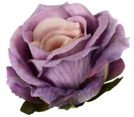 roza-satynowa-sliczna-glowka-lekko-rozwijajacej-sie-rozy-violet-beige
