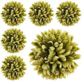 chryzantema-ananas-glowka-6-szt-kwiat-dk-olive