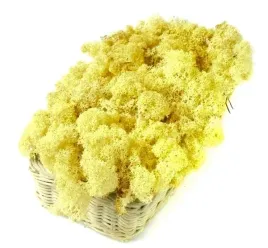 mech-chrobotek-reniferowy-200g-lemon