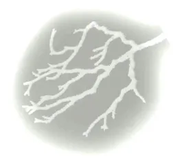 koralowiec-galazka-white-brokat