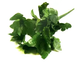 podstawa-bukietu-chryzantema-baza-lodyga-stelaz-x5